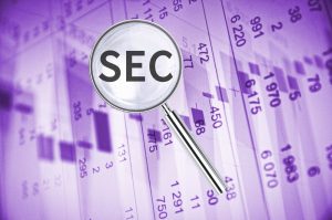The Role and Responsibilities of the SEC